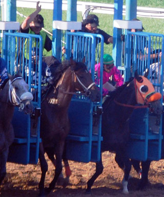 Horsemen