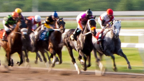 Live Racing Calendar