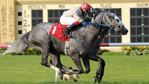 horse racing