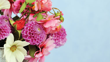 spring flowers and mothers day