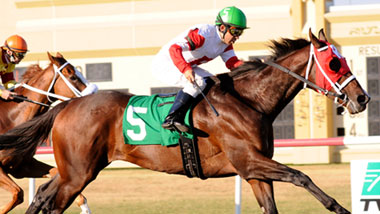 horse racing